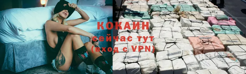 ссылка на мегу как зайти  Омск  Cocaine Fish Scale  купить наркотик 